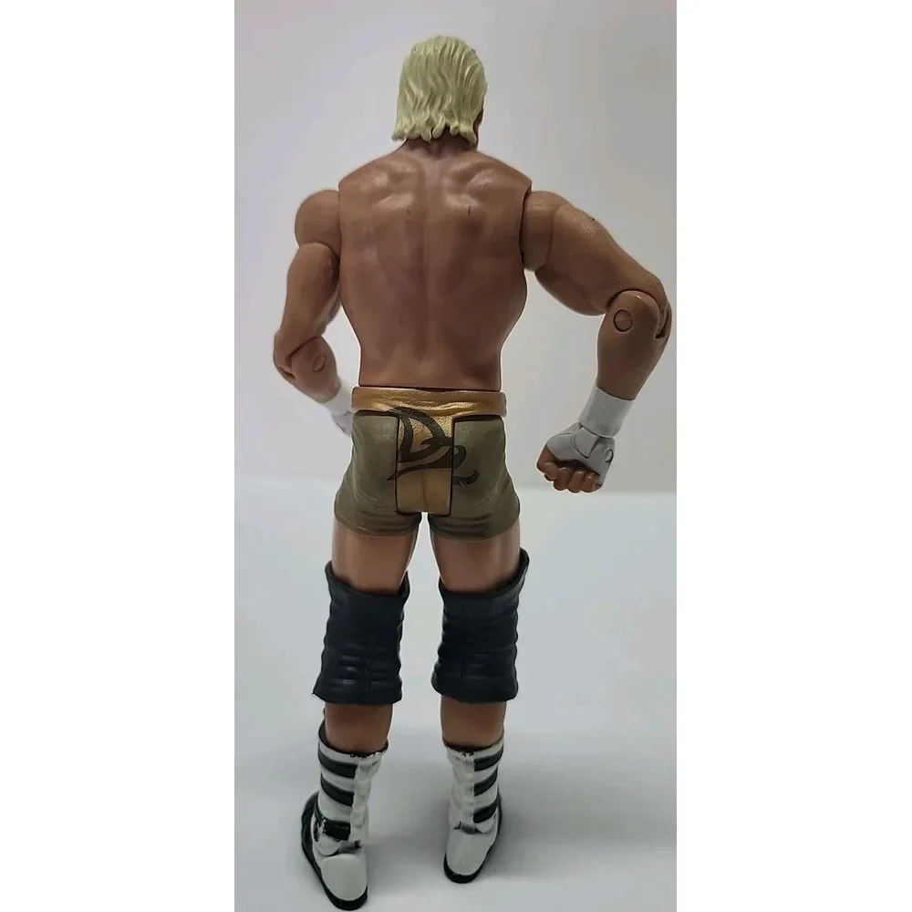 2011 Mattel Dolph Ziggler‎ Basic Series Raw Smackdown Action Figure WWE